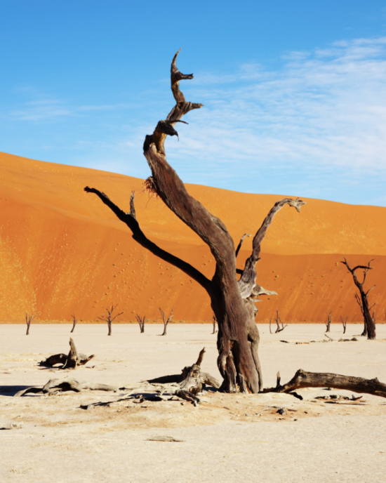 luxury safari packages in namibia
